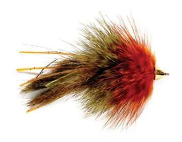 Schultzy's Low Water Crayfish